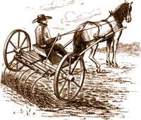 Man on spring tooth self-dumping horse rake.