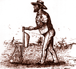 Planting corn by hand