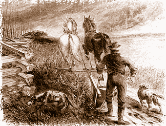 Man cutting a furrow as a firebreak