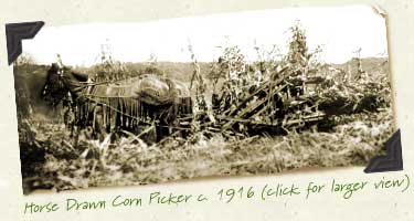 Horse Drawn Corn Picker c. 1916
