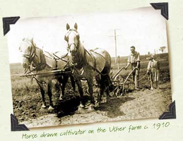 Horse drawn cultivator on the Usher farm c. 1910